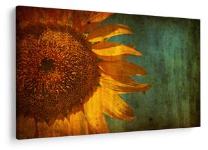 Tablou - Floarea soarelui (90x60 cm)