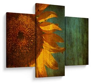 Tablou - Floarea soarelui (90x60 cm)