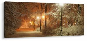 Tablou - Parcul înzăpezit (120x50 cm)