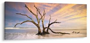 Tablou - Copacul în ocean (120x50 cm)