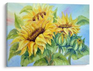 Tablou - Floarea soarelui înflorită (70x50 cm)