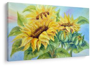 Tablou - Floarea soarelui înflorită (90x60 cm)