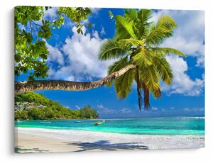Tablou - Seychelles (70x50 cm)