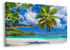 Tablou - Seychelles (90x60 cm)