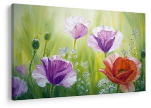 Tablou - Maci (90x60 cm)