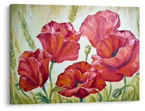 Tablou - Mac - flori (70x50 cm)