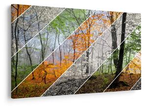 Tablou - Schimbarea anotimpurilor (90x60 cm)