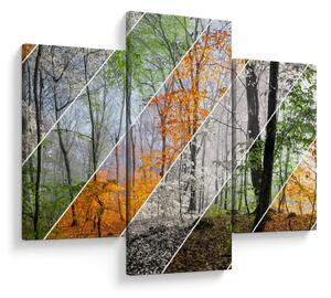Tablou - Schimbarea anotimpurilor (90x60 cm)