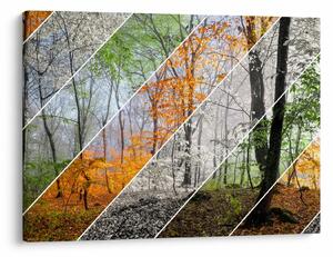 Tablou - Schimbarea anotimpurilor (70x50 cm)