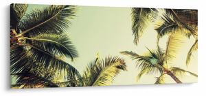 Tablou - Palmieri de cocos (120x50 cm)