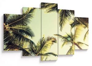 Tablou - Palmieri de cocos (150x105 cm)