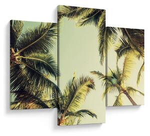 Tablou - Palmieri de cocos (90x60 cm)
