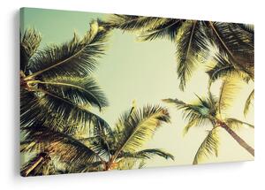 Tablou - Palmieri de cocos (90x60 cm)