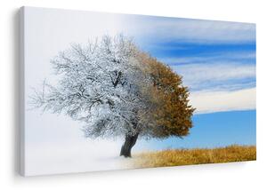 Tablou - Schimbarea anotimpurilor (90x60 cm)