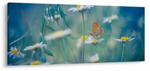 Tablou - Fluture pe margaretă (120x50 cm)