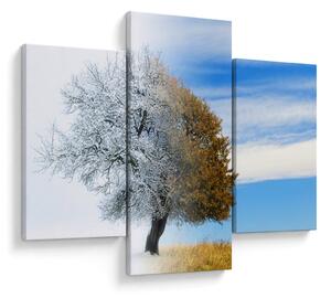 Tablou - Schimbarea anotimpurilor (90x60 cm)