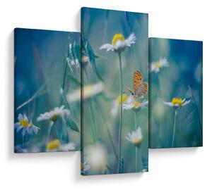 Tablou - Fluture pe margaretă (90x60 cm)