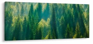 Tablou - Pădurea de brazi (120x50 cm)