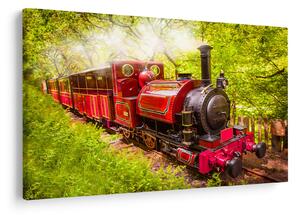 Tablou - Tren cu aburi (90x60 cm)