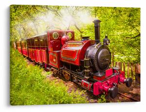 Tablou - Tren cu aburi (70x50 cm)