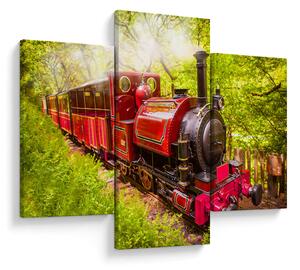 Tablou - Tren cu aburi (90x60 cm)