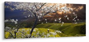 Tablou - Peisaj cu pomul înflorit (120x50 cm)