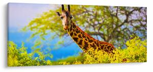 Tablou - Girafa în Africa (120x50 cm)