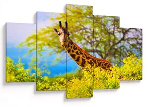 Tablou - Girafa în Africa (150x105 cm)