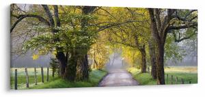 Tablou - Smoky Mountains, Gatlinburg, SUA (120x50 cm)