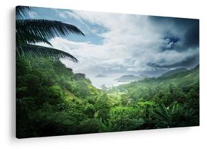 Tablou -Jungla din Seychelles (90x60 cm)