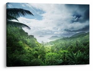 Tablou -Jungla din Seychelles (70x50 cm)