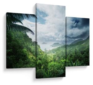 Tablou -Jungla din Seychelles (90x60 cm)