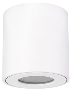 Spot pentru baie Brilagi MIA 1xGU10/30W/230V 84x80 mm alb IP54
