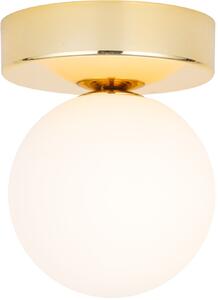 TK Lighting Bianca Black lampă de tavan 1x6 W alb 4695