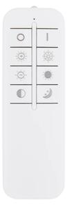 Globo 48442-50SH - Plafonieră LED dimabilă RODERICK 50W/230V 46x54,5 cm+telecomandă