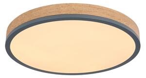 Globo 416080WD2R-CCT-LED Plafonieră DORO dimmabilă 24W/230V 3000-6500K diam. 45 cm