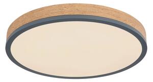 Globo 416080WD2R-CCT-LED Plafonieră DORO dimmabilă 24W/230V 3000-6500K diam. 45 cm
