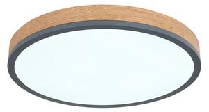 Globo 416080WD2R-CCT-LED Plafonieră DORO dimmabilă 24W/230V 3000-6500K diam. 45 cm