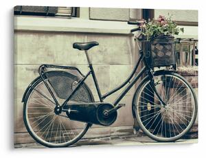 Tablou - Bicicleta de epocă cu flori (70x50 cm)