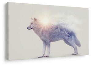 Tablou - Lupul arctic oglindit în peisaj sălbatic (90x60 cm)