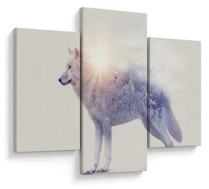 Tablou - Lupul arctic oglindit în peisaj sălbatic (90x60 cm)