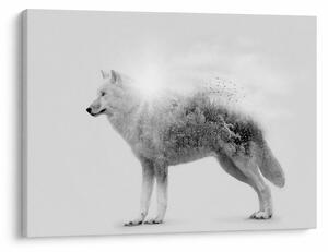 Tablou - Lupul arctic oglindit în peisajul sălbatic, alb-negru (70x50 cm)
