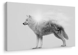 Tablou - Lupul arctic oglindit în peisajul sălbatic, alb-negru (90x60 cm)