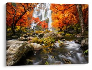 Tablou - Cascade în pădurea portocalie (70x50 cm)