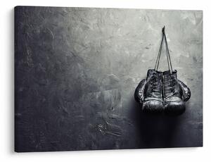 Tablou - Mănuși de box (70x50 cm)