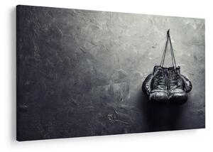 Tablou - Mănuși de box (90x60 cm)