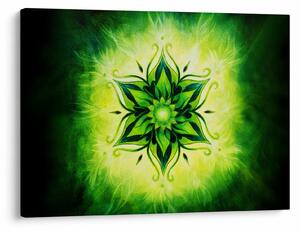 Tablou - Mandala de flori, fundal verde (70x50 cm)