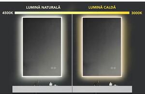 Oglinda dreptunghiulara 60 cm cu iluminare LED si dezaburire Fluminia, Miro 600x750x35 mm