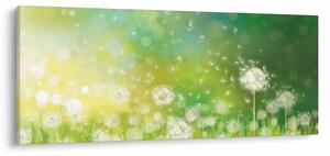 Tablou - Păpădie înflorită (120x50 cm)