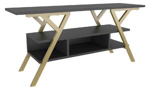 Comoda TV MINERVA, gri antracit/auriu, PAL/metal, 120x35x55 cm